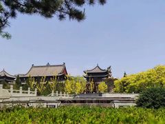 -大槐树寻根祭祖园