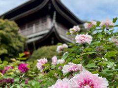 -龙华寺