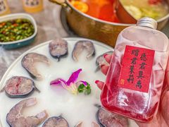 -濠七糟粕醋·椰子鸡火锅(上海首店)