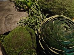 -艺水间水汇