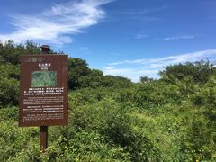-王顺山国家森林公园