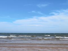 -日照海滨国家森林公园