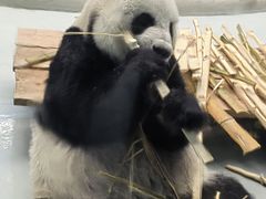 -柳州市动物园