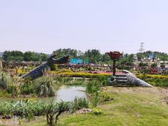 -都江堰玫瑰花溪谷