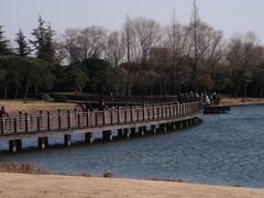 -贡湖湾湿地公园