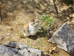 -天津盘山风景名胜区