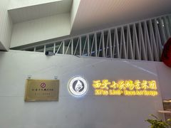 -西安小天鹅艺术团(曲江Alice店)