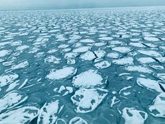 景点-网走流冰观光破冰船极光号