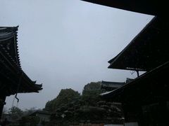 -有栖山 清光院 清水寺
