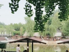 -尚庄度假村·庭台树下·户外烧烤·团建CS·轰趴营地(上庄水库店)
