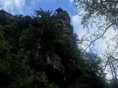 -青峰峡国家森林公园