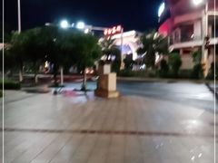 -海口东站