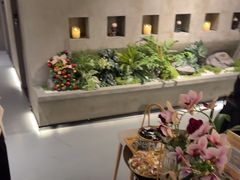 -施奈儿.洗头頭療.按摩SPA.采耳(上梅林店)