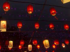 -光明农场大观园