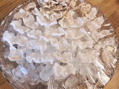 象拔蚌-春秋火锅(复兴中路店)