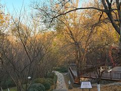 -方山风景区定林寺