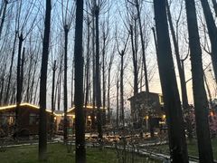 -林间山庄