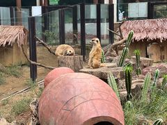 -大连森林动物园