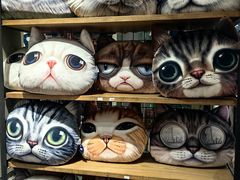 -猫咪博物馆(顶澳仔猫街店)