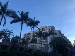 -点心传说·粤菜点心(佐阾虹湾店)