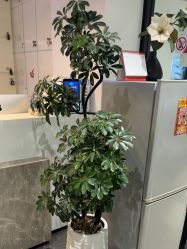 -LJOY丽锦造型·烫发染发