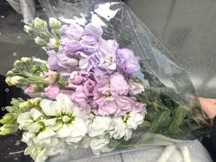 -循礼门鲜花花市(武汉循礼门店)