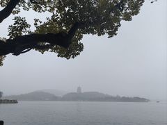 -杭州西湖柳莺里酒店·闻莺厅