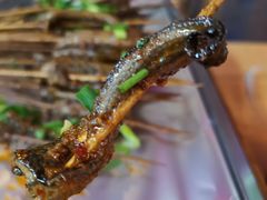 -晓靖轩烧烤(沙河风情店)