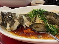 清蒸石斑-东江渔村·古典园林·30年粤菜老字号(太和店)