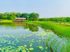 -张家湾公园