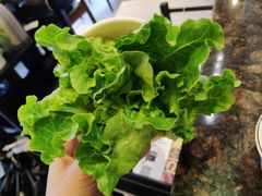 生菜-八合里潮汕鲜牛肉火锅(深圳海岸城店)