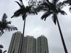 -九龙公园