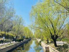 -元大都城垣遗址公园