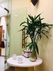 -芳朵美容养生SPA