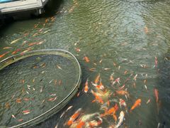 -桃园盛宴·岭南粤菜·手工茶点(南庄店)