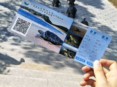 -广东惠东海龟国家级自然保护区