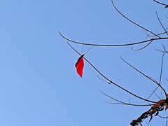 -火炉山森林公园