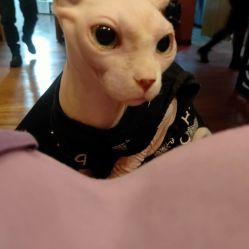 -奇文堂专业纹身馆
