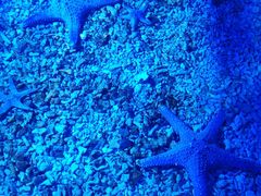 -波塞冬旅游度假区