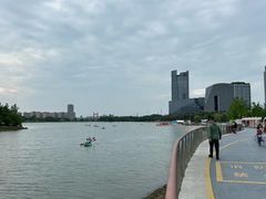 -金沙湖公园