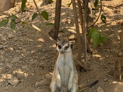 -鄂尔多斯野生动物园