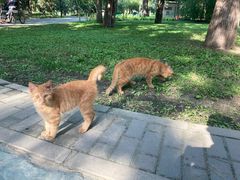 -徐家汇源景区-衡山公园