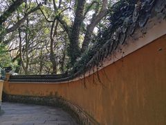 -普陀山风景名胜区-法雨禅寺