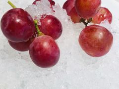 水果-四季民福烤鸭店(前门店)