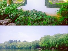 -西湖外事游船(花港观鱼码头)