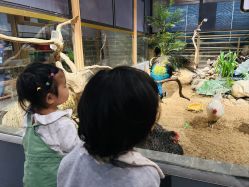 -造物庄园 萌宠纪(苏州湾歌林公园店)