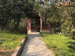 -太子山公园(园东路)