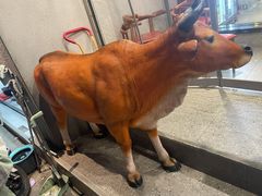 -林记潮牛·牛肉火锅(上马墩店)
