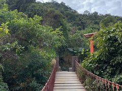 -梧桐山风景名胜区