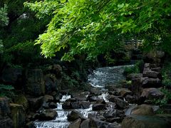 -白马涧龙池景区